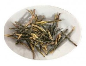 苦丁茶