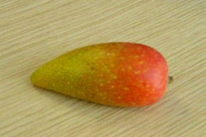 辣椒芒