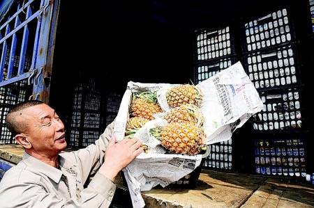 海南菠蘿熱銷(xiāo)