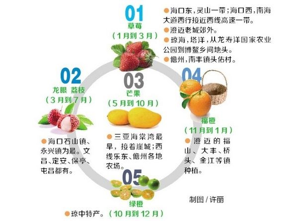 海南水果采摘攻略圖