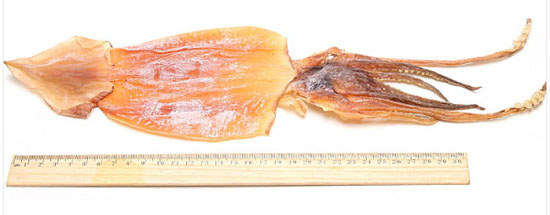 魷魚(yú)干
