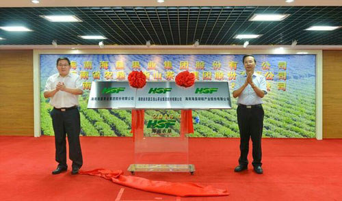 海南農墾成立茶葉果業(yè)胡椒公司，是八大產(chǎn)業(yè)打造的第一批產(chǎn)業(yè)公司