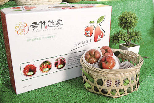 黃竹蓮霧