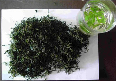 水滿(mǎn)茶青
