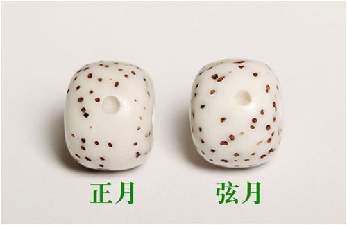 星月菩提的正月與弦月