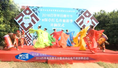 保亭紅毛丹旅游季開(kāi)啟(新聞報道)