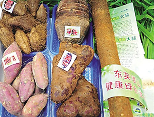 東英長(cháng)壽五糧