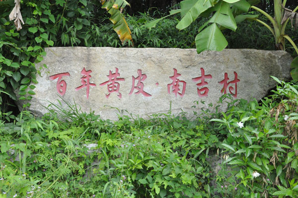 百年黃皮·南吉村