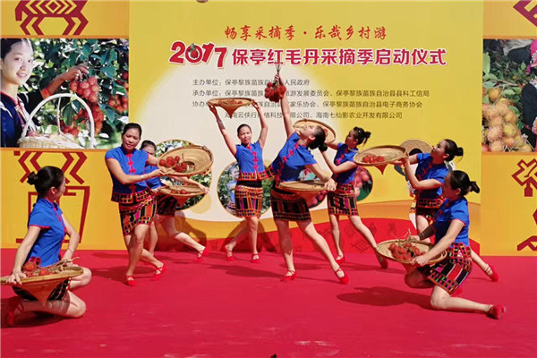 2017保亭紅毛丹采摘季活動(dòng)現場(chǎng)