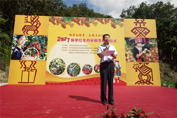 海南省旅游委旅游開(kāi)發(fā)處處長(cháng)李勇致辭