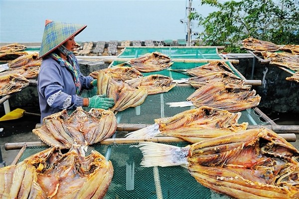 儋州紅魚(yú)干