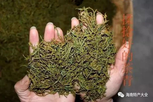 水滿(mǎn)茶