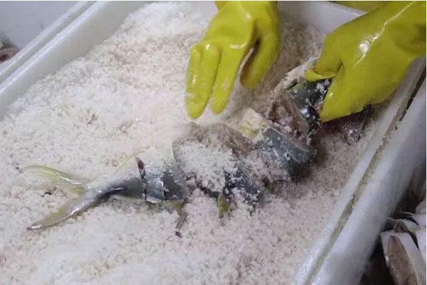 用鹽腌制金鯧魚(yú)