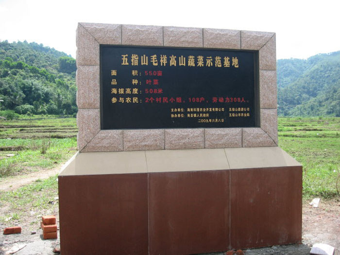 五指山毛祥高山蔬菜示范基地