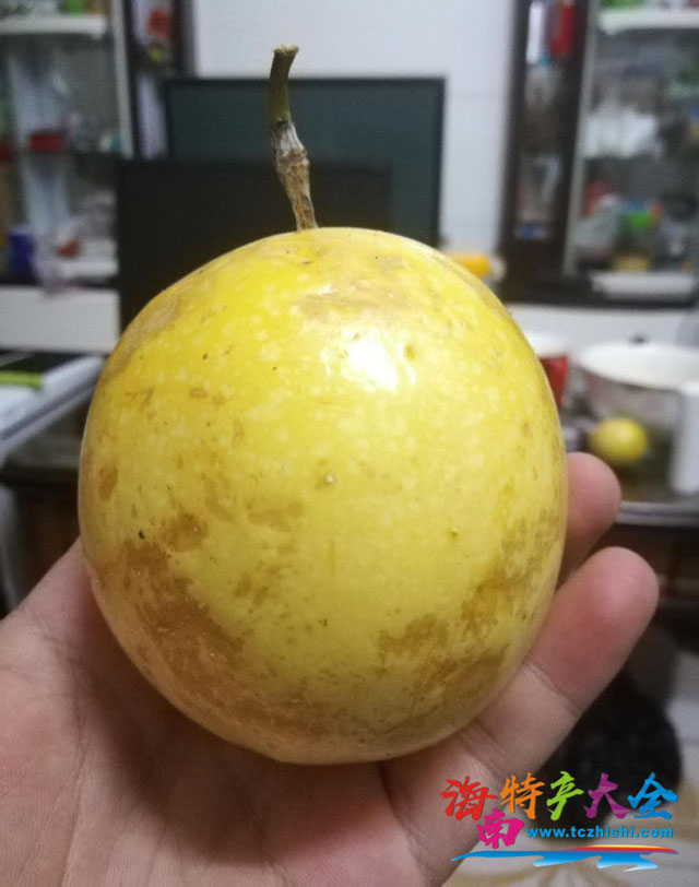黃金百香果