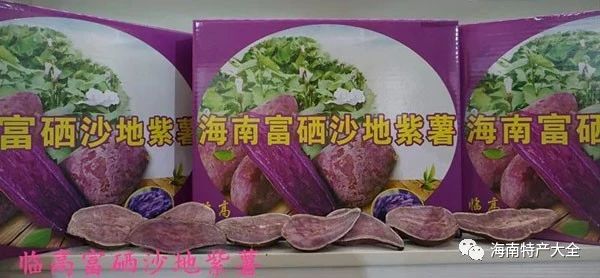 臨高富硒沙地紫薯