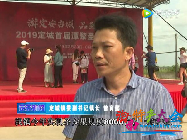 定安全鎮現有圣女果近8000畝