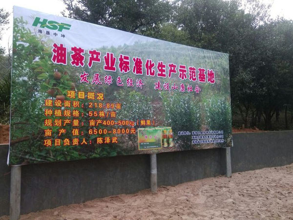 中坤農場(chǎng)公司油茶標準化生產(chǎn)示范基地項目概況