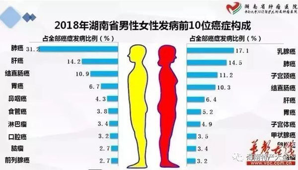 2018年湖南省男性女性發(fā)病前10位癌癥構成