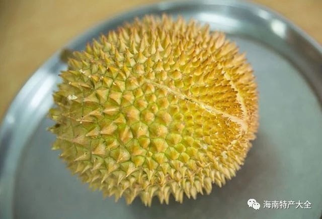 貓山王榴蓮