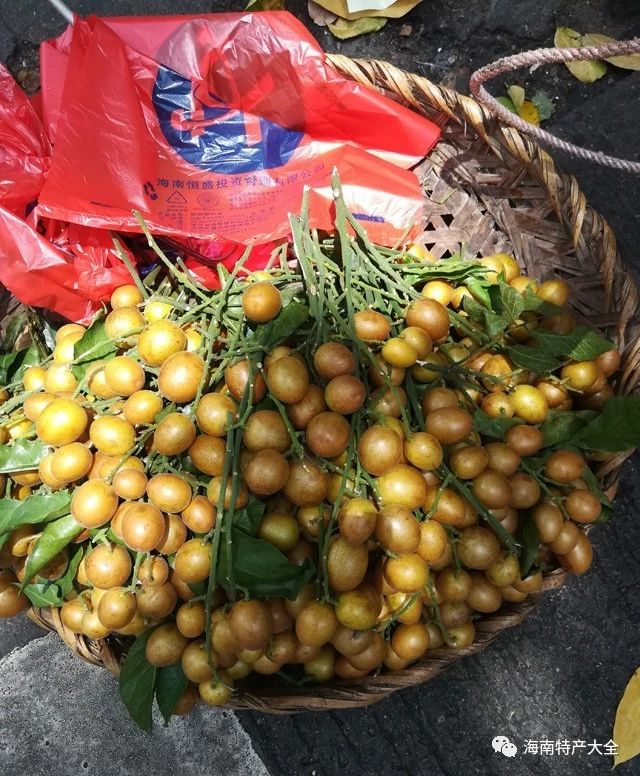 雞心黃皮