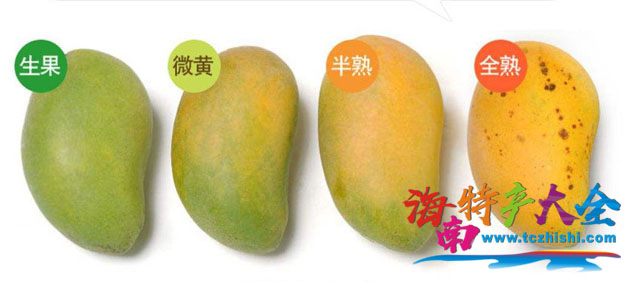 芒果成熟度判斷