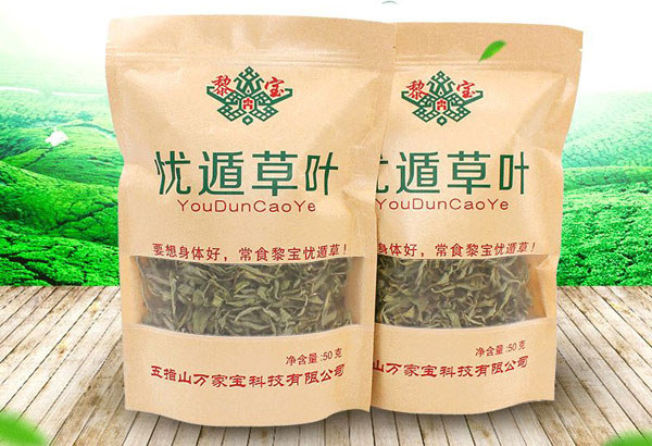 憂(yōu)遁草